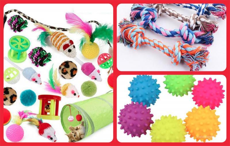 Buy 144 Units Pet Toys and Accessories - Great Assortment For Cats & Dogs Online